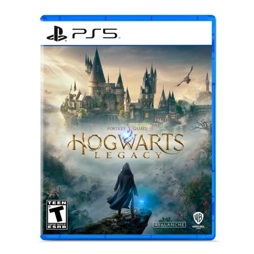 Hogwarts Legacy Playstation 5